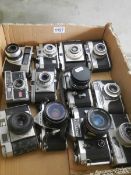 Twelve SLR and Auto vintage camera's.