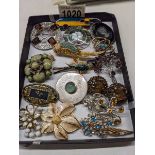 Eighteen good quality brooches including Scottish agate, birds, mourning brooch etc.,