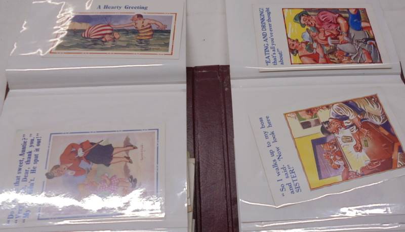 Two albums of postcards - one humorous including Donald McGill, the other mixed inc. topographical. - Image 9 of 23