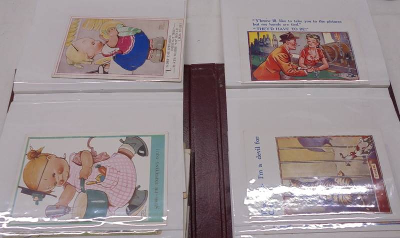 Two albums of postcards - one humorous including Donald McGill, the other mixed inc. topographical. - Image 11 of 23