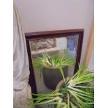 A mahogany framed mirror with corner engraving. COLLECT ONLY.