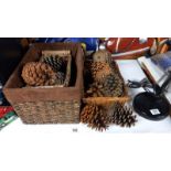 A quantity of large pine cones and 3 wicker baskets