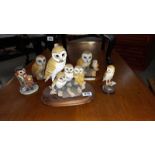 A quantity of barn owl ornaments including Little Nook Osbourne owl