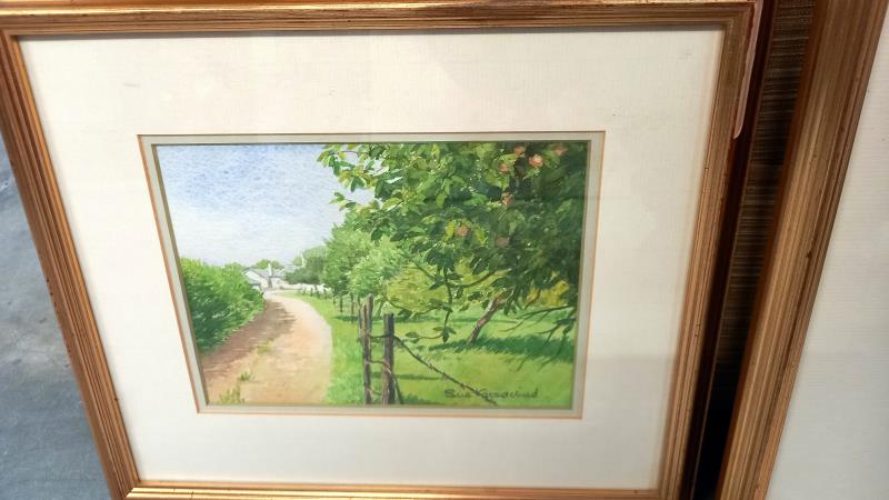 3 gilt framed watercolours by Sue Goodchild - Image 6 of 7