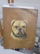 An oil on canvas dog portrait signed B Patrick,