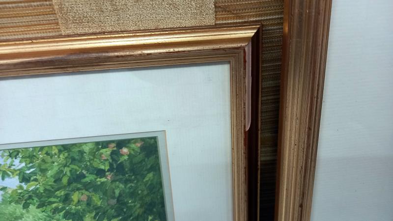 3 gilt framed watercolours by Sue Goodchild - Image 7 of 7