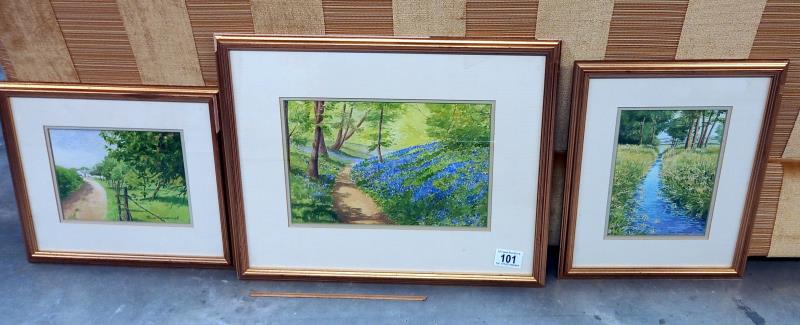 3 gilt framed watercolours by Sue Goodchild