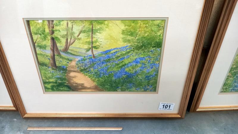 3 gilt framed watercolours by Sue Goodchild - Image 3 of 7