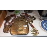 A T. Richmond & Son Newark bronze cover plate & a quantity of Victorian/Edwardian horse brasses