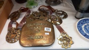 A T. Richmond & Son Newark bronze cover plate & a quantity of Victorian/Edwardian horse brasses