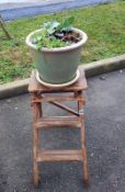 A small wooden step ladder & a planter, COLLECT ONLY
