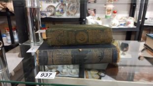 2 books, Verne Jules Field of Ice 1876 edition & Robinson Crusoe complete edition