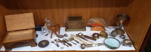 An inlaid oak musical box, flatware, taxidermy, red belly Pirana fish & magnifying glass etc.