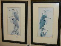 A pair of framed and glazed studies of herons.