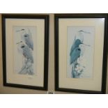 A pair of framed and glazed studies of herons.