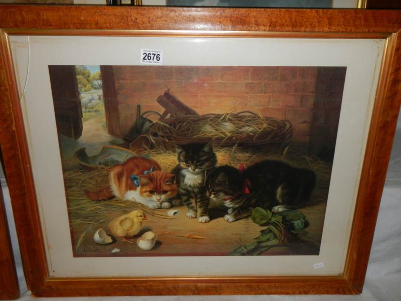 A Bird's eye maple framed study of kittens, COLLECT ONLY.
