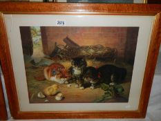 A Bird's eye maple framed study of kittens, COLLECT ONLY.