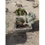 Two concrete planters - one square and one round