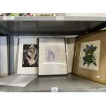 A quantity of still life prints