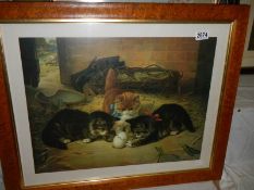 A Bird's eye maple framed study of kittens, COLLECT ONLY.