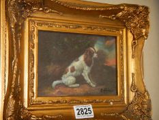 A gilt framed study of a spaniel, COLLECT ONLY.