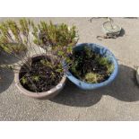 3 flower/plant pot/planters