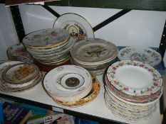 A good lot of collector's plates, one shelf. COLLECT ONLY.