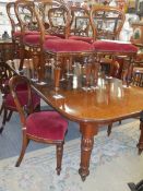 A Victorian mahogany wind out dining table and a set of twelve later mahogany dining chairs, COLLECT