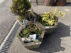 3 concrete hexagonal planters