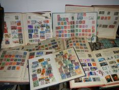 A good lot of albums of stamps. one shelf.