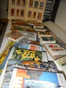 A good lot of tea cards, in albums and loose.