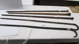 Five vintage walking sticks, three with horn handles and one with silver collar.