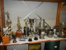 A shelf of trophies.