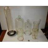 A set of three glass laboratory bell domes, COLLECT ONLY.