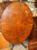 A Victorian walnut oval tip top table, COLLECT ONLY.