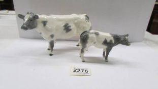 A Border Fine arts cow with calf (calf has small chip to ear).