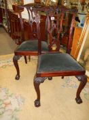 A good pair of Victorian mahogany ball and claw hall chairs, COLLECT ONLY.