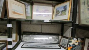 Two shelves of framed and glazed prints and watercolours, COLLECT ONLY.