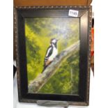 Oil on board of a great spotted woodpecker and a watercolour of one other