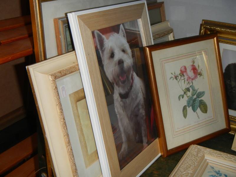Approximately 15 assorted pictures of dogs, flowers etc., COLLECT ONLY. - Image 2 of 4