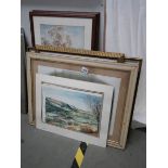A good lot of prints etc., COLLECT ONLY.