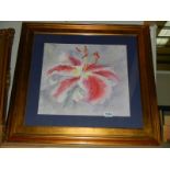 A good framed and glazed watercolour study of a pink orchid, 70 x 74 cm, COLLECT ONLY.