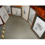 Six good framed and glazed pictures including pencil and ink drawings, COLLECT ONLY.