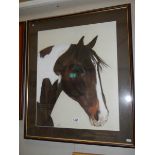 A large signed painting of a horses head, COLLECT ONLY.