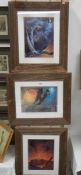 Three framed and glazed 'Australian' prints, COLLECT ONLY.