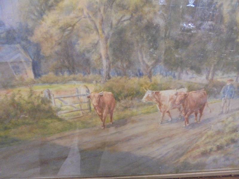 A framed and glazed rural watercolour featuring cattle signed but indistinct, COLLECT ONLY - Image 2 of 2