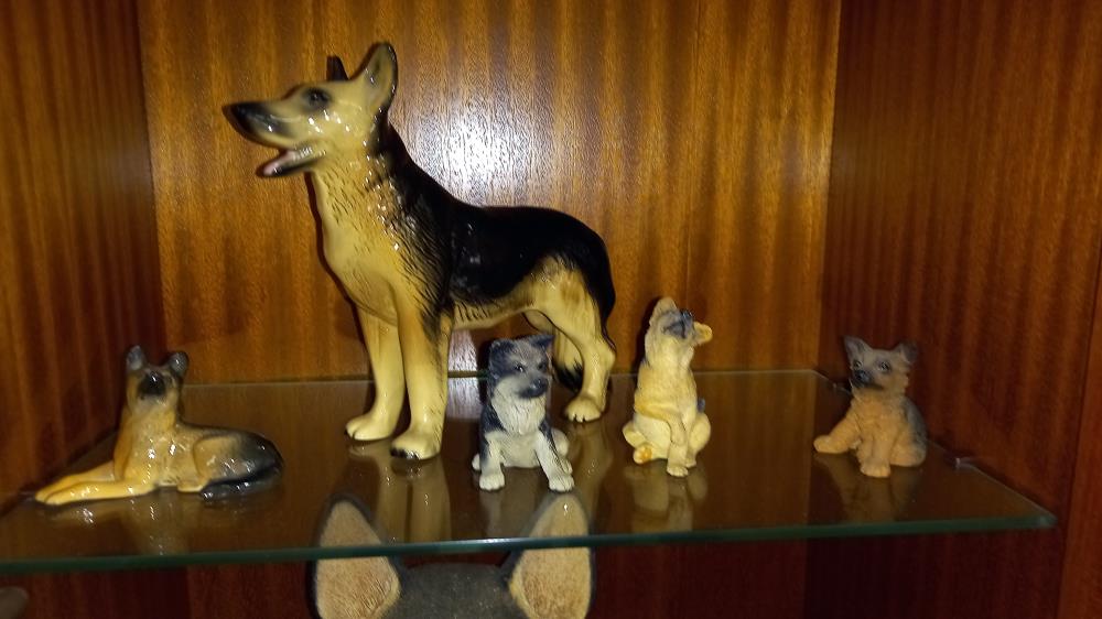 15 German Shepherd dog ornaments including Beswick, Border Fine Arts, a brass example etc COLLECT - Image 5 of 7