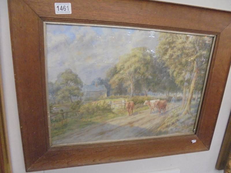 A framed and glazed rural watercolour featuring cattle signed but indistinct, COLLECT ONLY