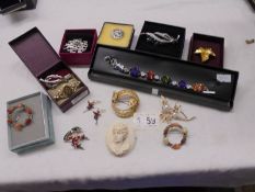 A coloured stone bracelet and a quantity of interesting brooches.
