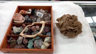 A good lot of shells, minerals & coral etc.